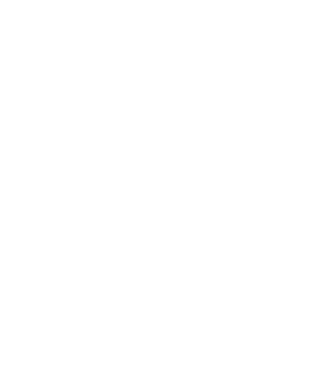 Druid - міжкімнатні двері